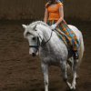 2005_07_03_breitensport