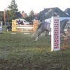 2005_09_18_dollbergen