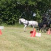 2006_06_25_fahrturnier