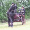 2006_06_25_fahrturnier