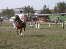 DB_06_10
