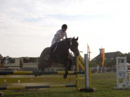 2006_07_17_dollbergen