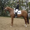 2006_10_14_lindhorst