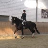 TT356