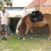 2009_06_28_ponyausritt