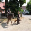 2009_06_28_ponyausritt