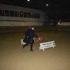 IMG_6555