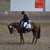 Reit_Abzeichen