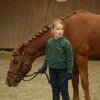 Top_Horses_2016
