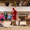 Weihnachtsreiten