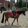 Ponyreiter