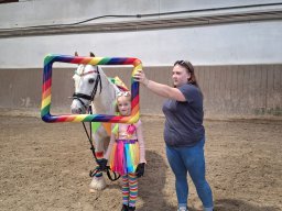 Top Horses 2024