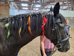 Top Horses 2024