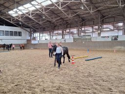 Top Horses 2024