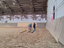 Top Horses 2024