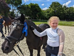 Top Horses 2024