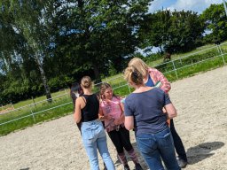 Top Horses 2024
