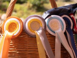 Sommerturnier Springen 09.-10.08.2025