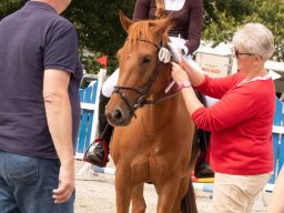 Sommerturnier Springen 09.-10.08.2025