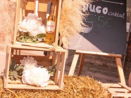 Sommerturnier Springen 09.-10.08.2025