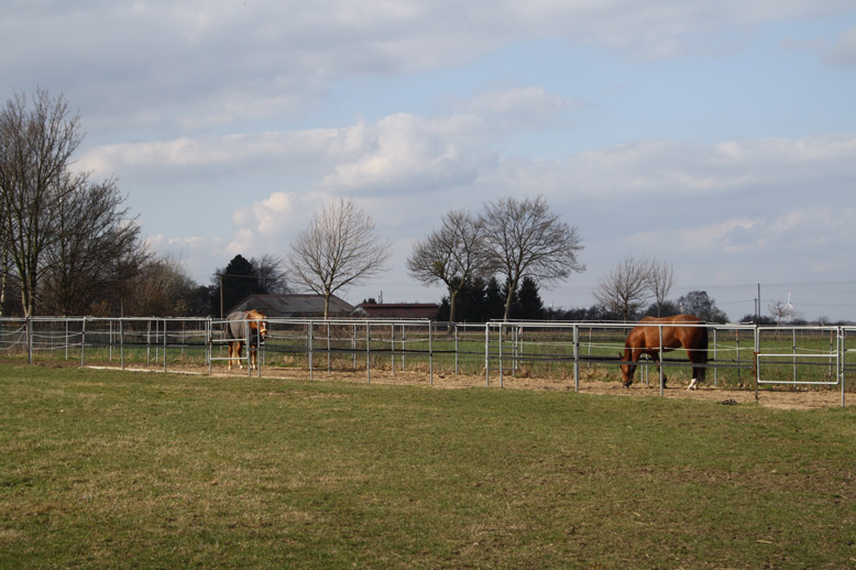 Paddocks im Verein St. Georg Barsinghausen e.V.