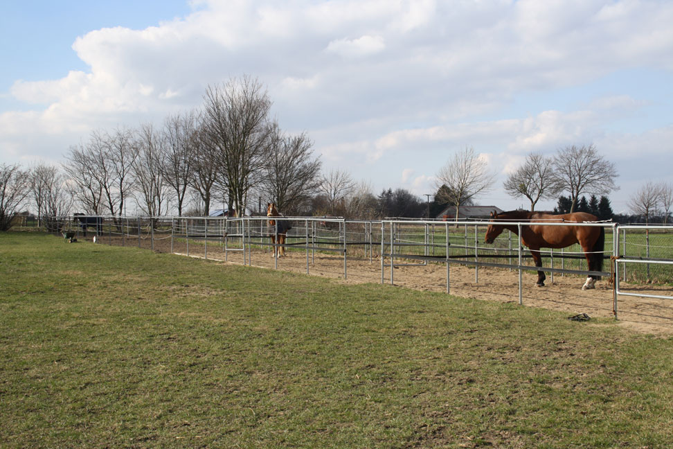 Paddocks im Verein St. Georg Barsinghausen e.V.