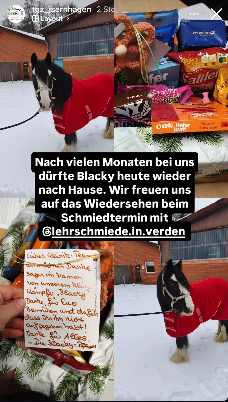 Blacky Abreisetag 20260131