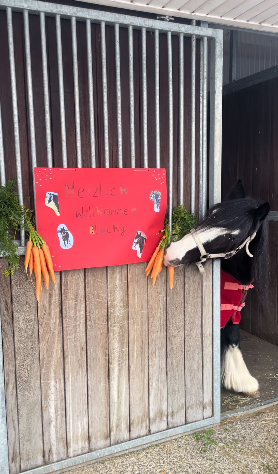 Blacky Ohndorf 20260131