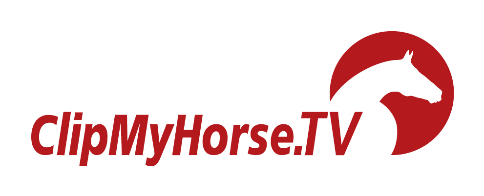 Logo CMH claim red Webdatei
